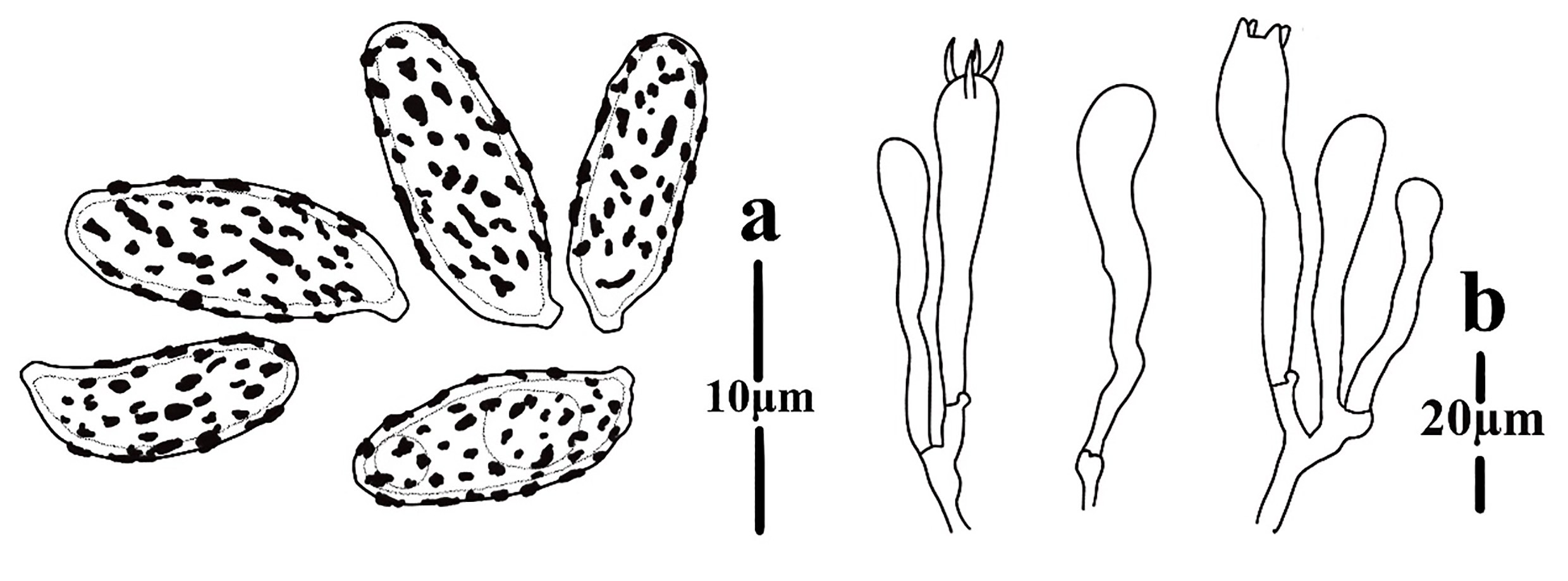 Figure 71